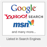 Search Engine Visibility