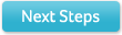 Next Steps