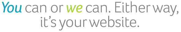 You can or we can. Either way, it's your website.