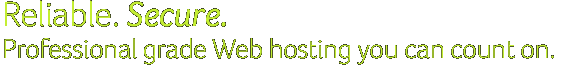 A professional grade hosting solution for advanced web professionals.