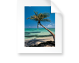 Inclusion of Product Images