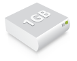 Web Hosting