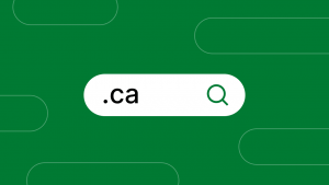Should You Buy a .CA Domain Name?
