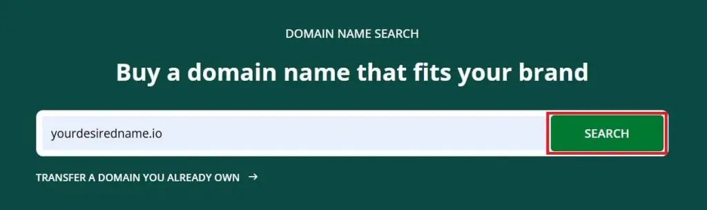 Domain name search bar with ".io" example and search button