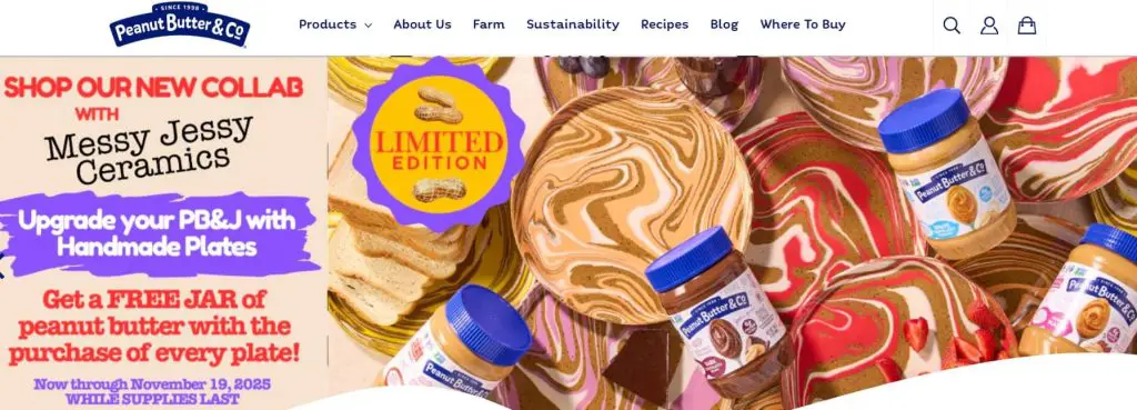 Peanut Butter & Co.’s accessible website layout with high-contrast graphics and easy-to-read promotional text.