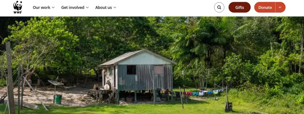 WWF website example showing accessible page structure.