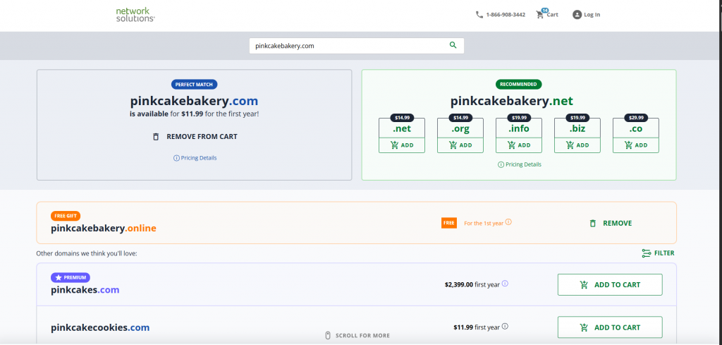 Network Solutions Domain Name Search results page