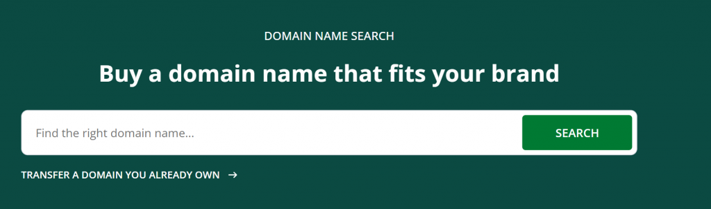Network Solutions Domain Name Search search bar
