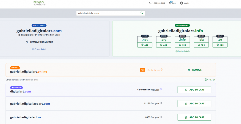 Network Solutions search result page