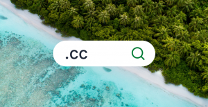 What is a .cc domain?