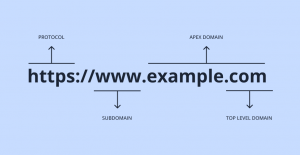 What Is An Apex Domain?  