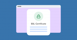 What Is SSL Certificate Warranty and How It Works?  