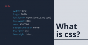 What Is CSS? Overview, How It Works and Examples 