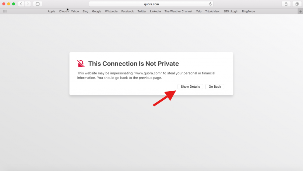 Safari SSL security alert page showing a “Your connection is not private” error