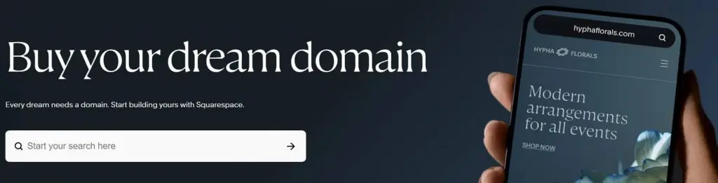 Squarespace Domains domain name registration