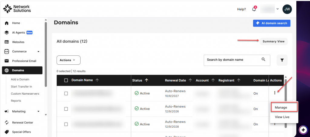 If you are in the Advanced View, click the vertical ellipsis on the domain you want to access, then select Manage.