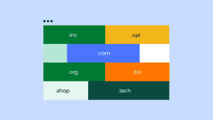 Domain Portfolio Management for Small Business Owners 