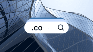 Elevate Your Online Identity: Why a .CO Domain Stands Out
