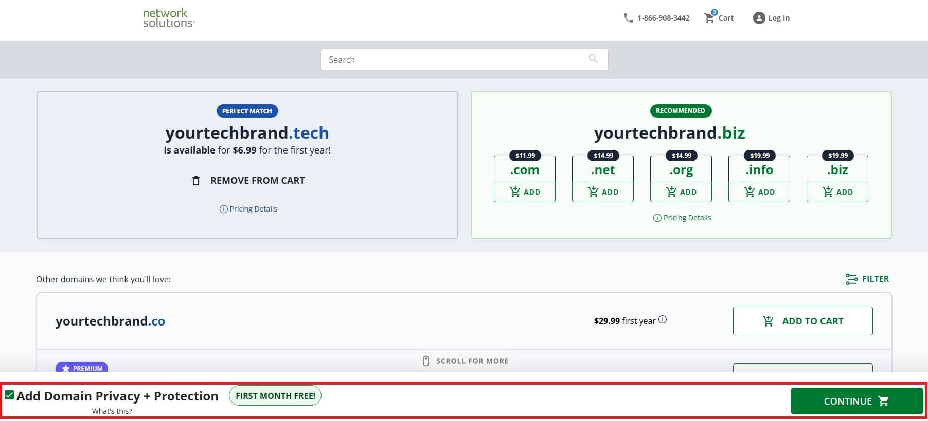 Network Solutions domain purchase screen with add privacy option and continue button.