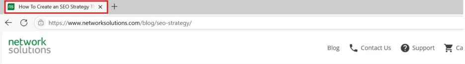 a screenshot of a title tag in the browser