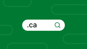 Should You Buy a .ca Domain Name?