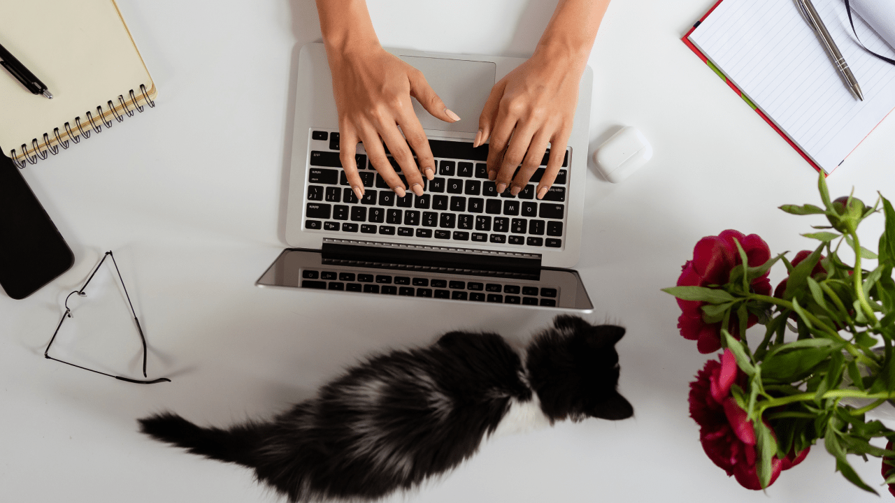 What Is an Angel Network featured image