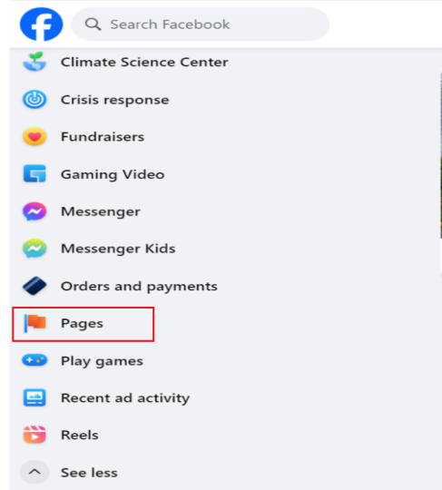 left sidebar menu facebook interface - with click pages element