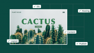 How To Publish a Website in 9 Easy Steps 