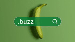 Should You Buy a .buzz Domain Name?