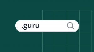 Should You Buy a .guru Domain Name?