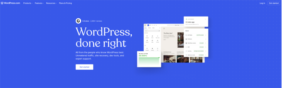 WordPress logo with a theme design layout, showcasing customizable options for website aesthetics and functionality.