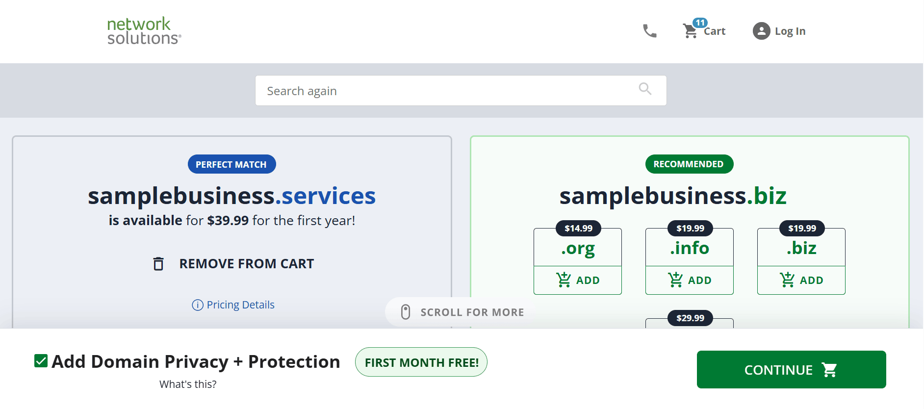 .services domain results screenshot