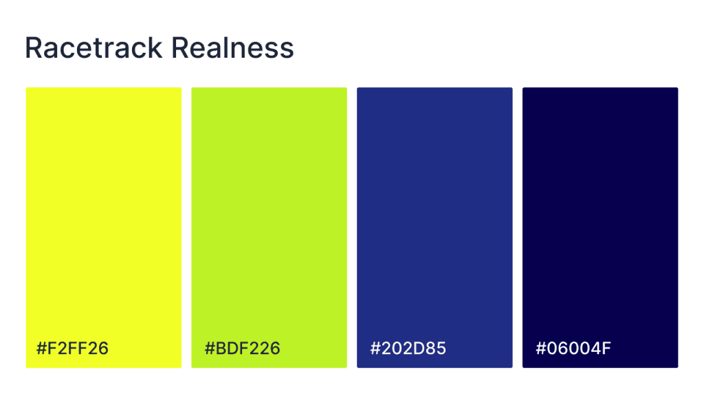 racetrack realness website color scheme