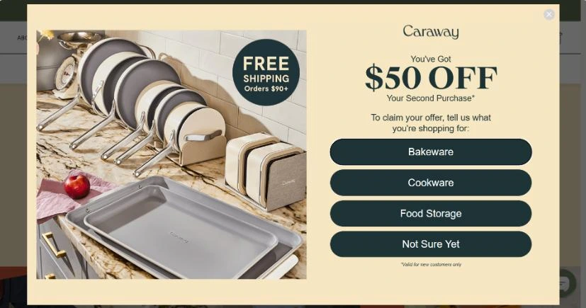 Discount landing page popup asking shoppers to choose cookware category for better targeting