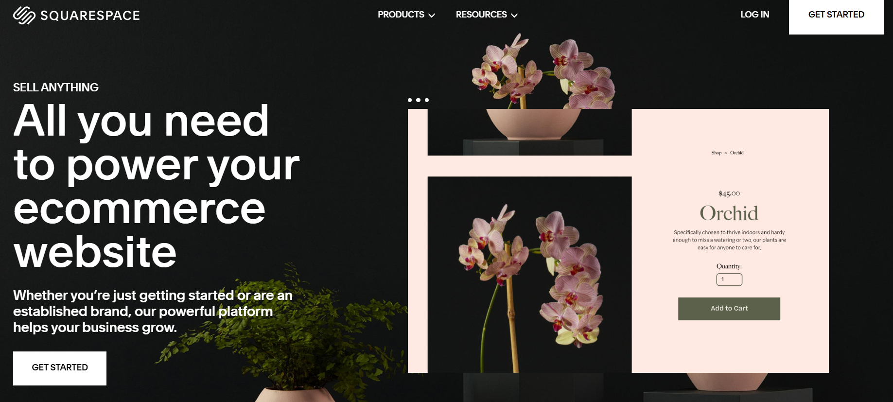 Squarespace website screenshot
