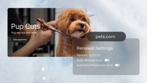 What is domain expiration protection?