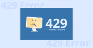 HTTP Error 429: What Causes It and How To Fix It? 