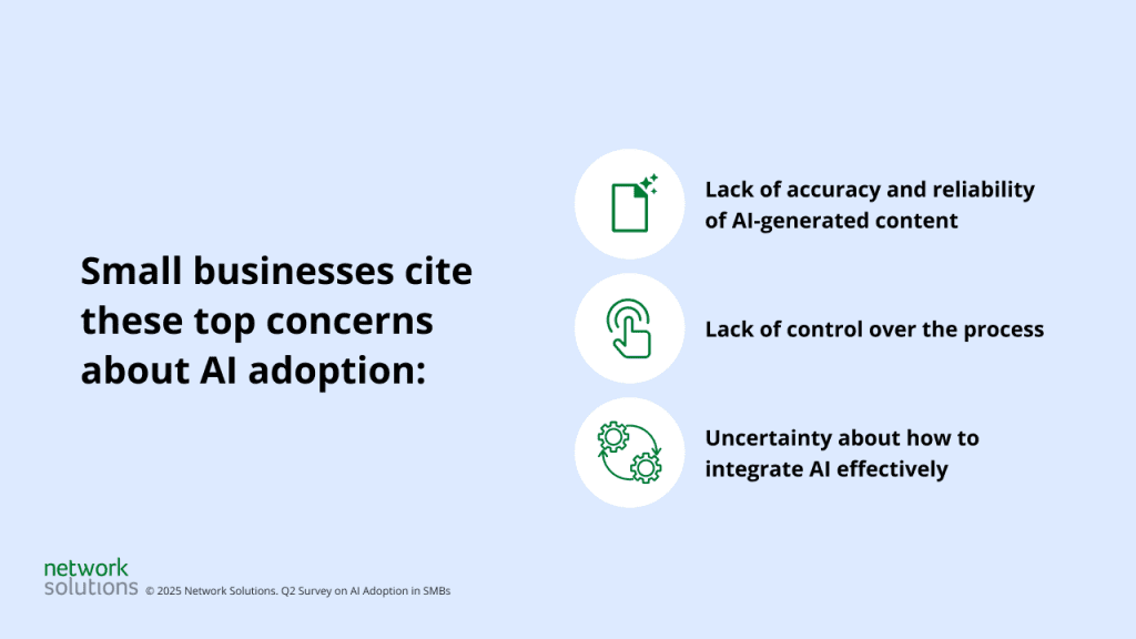 infographic showing business owner concerns on AI