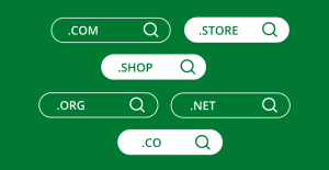 Business Domain Portfolios: Why Do You Need More Than One Domain Name