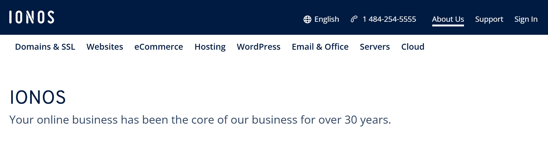 IONOS' homepage.