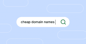 A Guide to Cheap Domain Names in 2025 