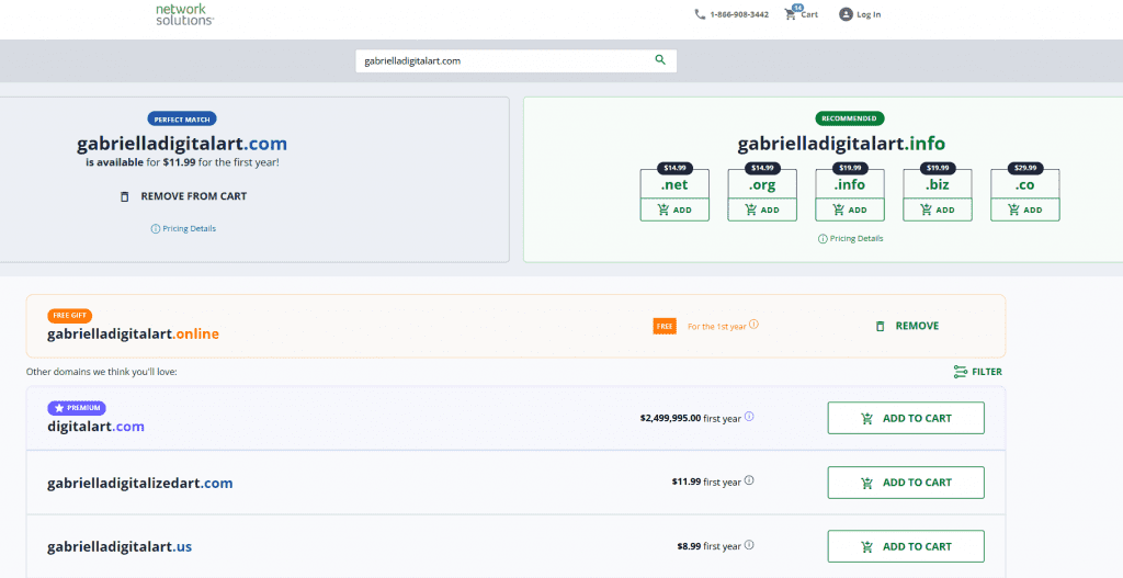 Network Solutions search result page