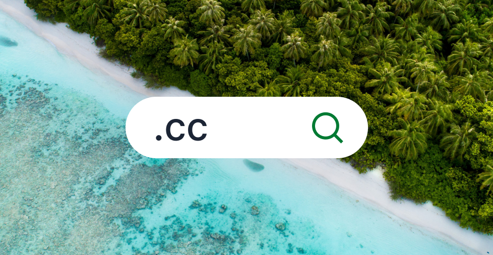 What is CC domain name