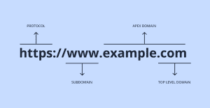 What Is An Apex Domain?  