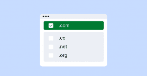 When to Buy Expired Domain Names vs. New Domains 