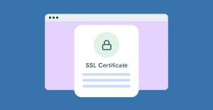What Is SSL Certificate Warranty and How It Works?  