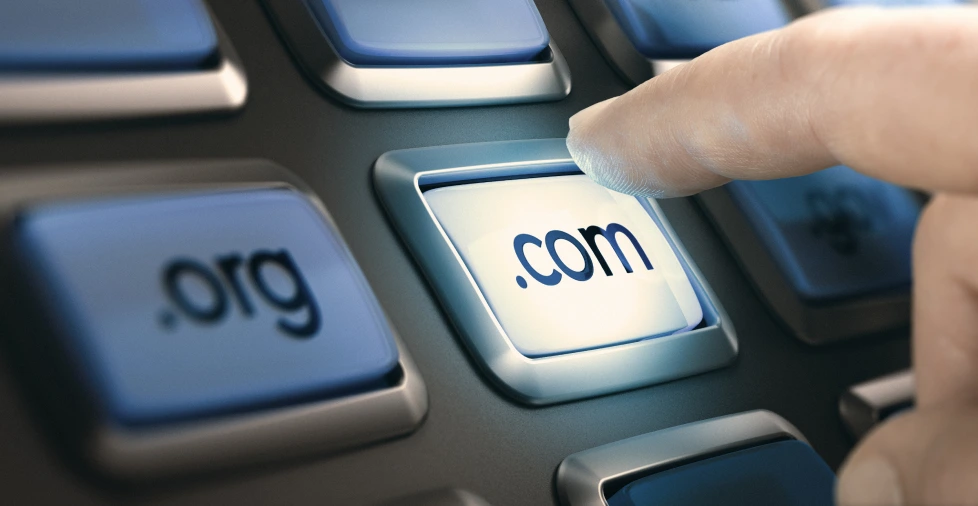 A snapshot showing what is a generic top-level domain
