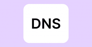 What Is the Domain Name System: Everything You Need To Know About DNS