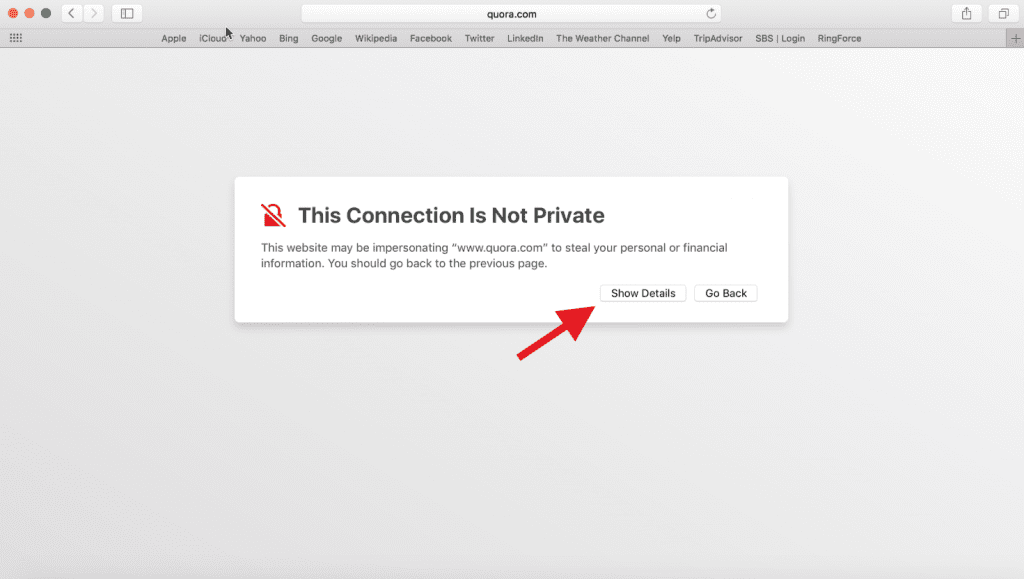 Safari SSL security alert page showing a “Your connection is not private” error