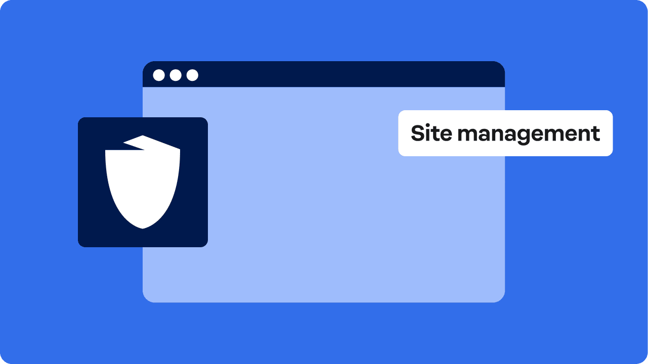Site security and management for small business websites